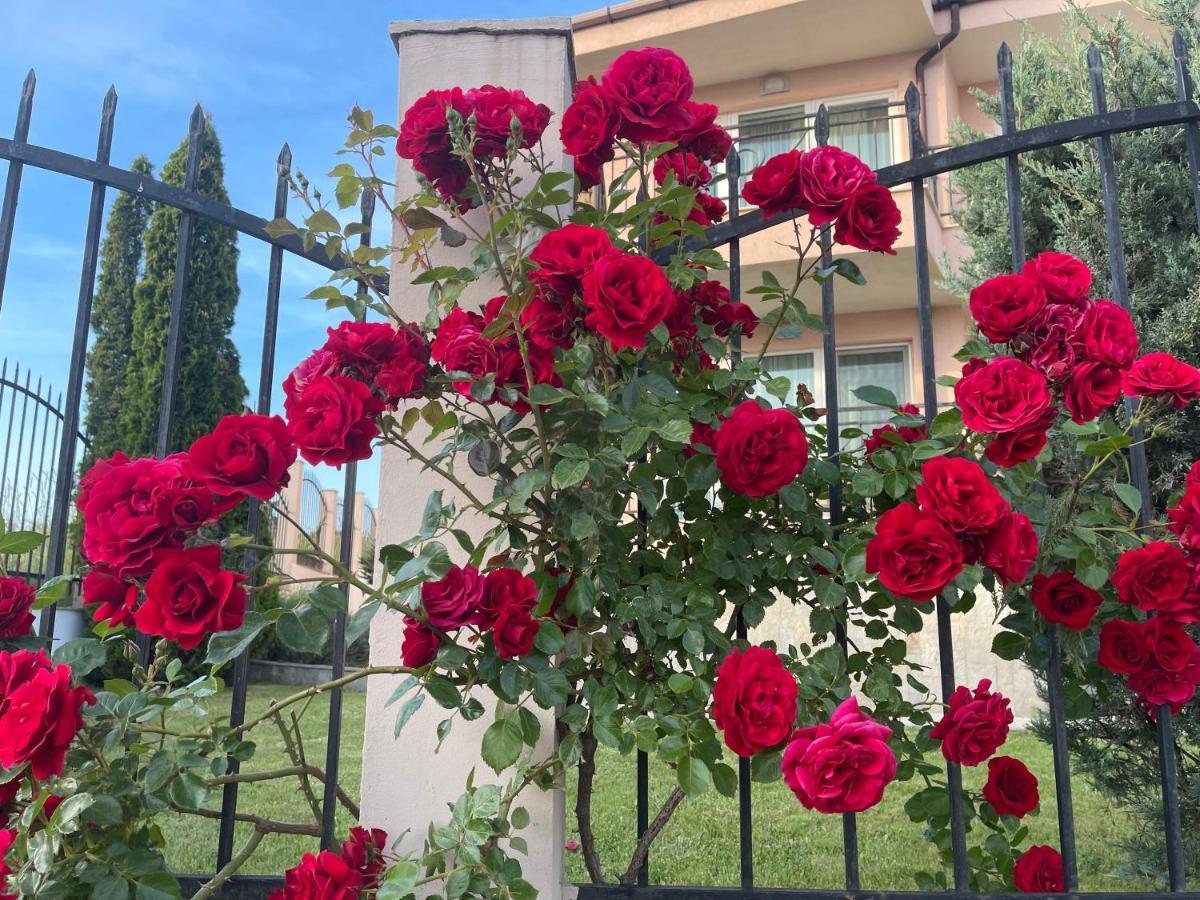 Villa Mia سوزوبول المظهر الخارجي الصورة